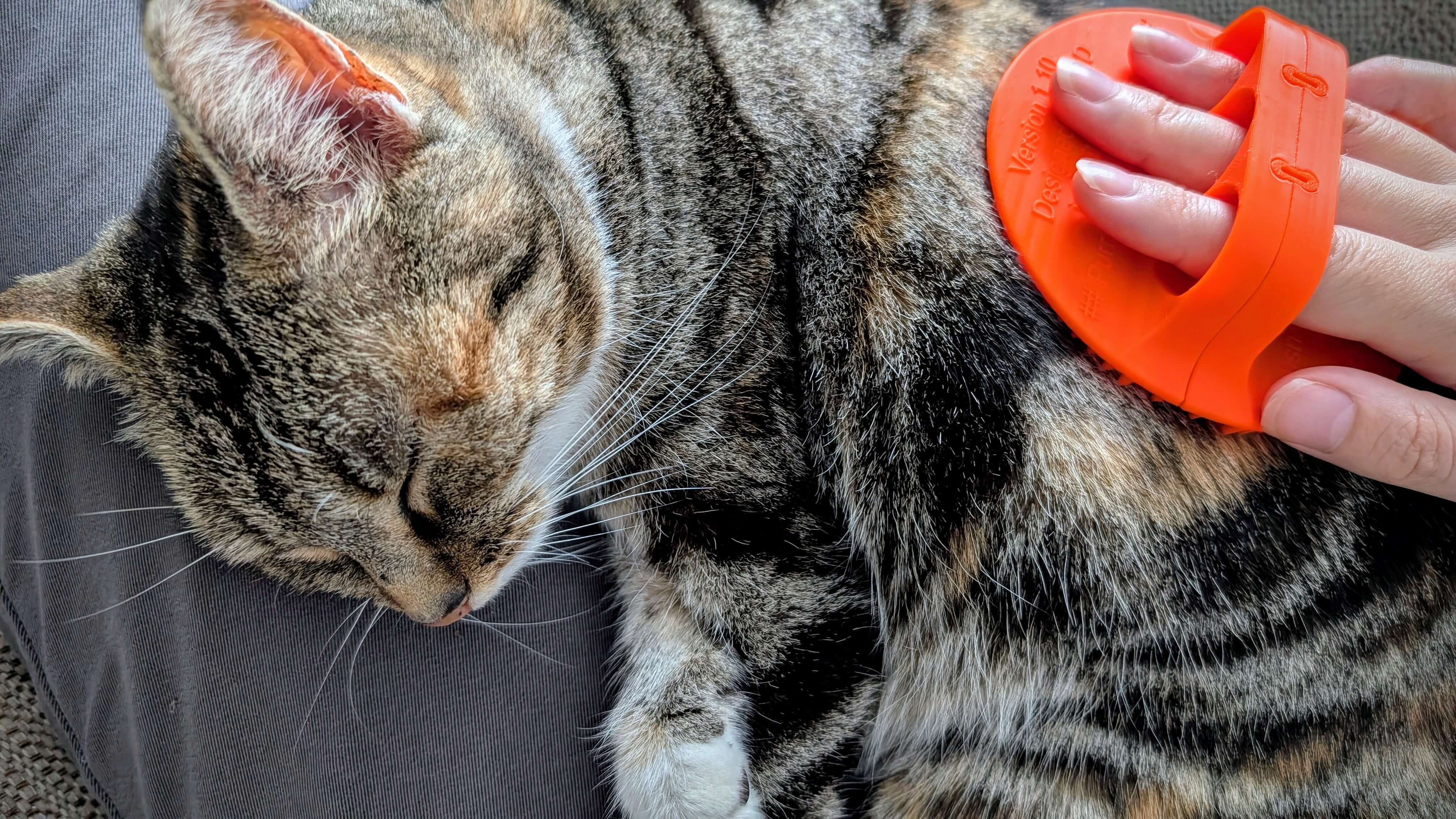 Limpador pet com gato